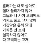 세훉이로 입덕한 아기에<b>리야</b>