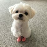 담배 살 돈 없나봐? 왜 맨날 <b>불만</b> 있어