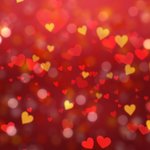 걷기다이어트20kg감량후기