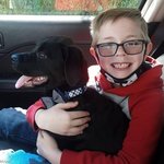 아픈 강아지 위해 <b>보물</b> 내놓은 8살 소년.."포켓몬 카드 팔아요...