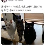 [댓글부탁해] 나 귀차니즘 ㅈㄴ 심각함