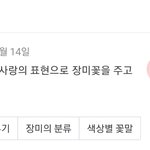 내 생일이 <b>로즈데이</b>여서
