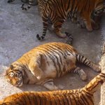 너희는 <b>또래</b>랑 17대 1로 떠서 이길 자신 있음?