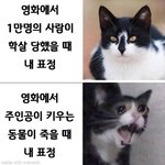 [댓글부탁해] 내일 중간<b>고사</b> 보는 사람 없어?