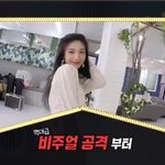 조이 솔로 나오는거 실감간다