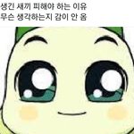 [드루와] 20일에 <b>비올</b> 확률