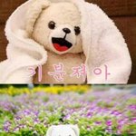 너네는 무슨 <b>냄새</b> 좋아함