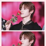 [NCT즌] 오늘은 <b>로즈데이</b>❤️ 사랑한다 태용아
