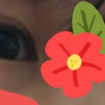 <b>내</b> <b>눈</b> ㅇㄸ