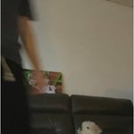 [NCT즌] 큐트 <b>퍼피</b>