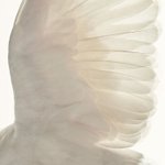 [댓글부탁해] 친구가 <b>랜</b><b>선</b>친구랑만 놀아