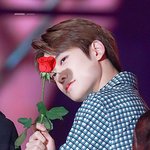 [NCT즌] 오늘은 로즈데이