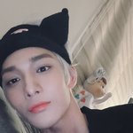 배로미를 아시나요