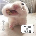 속상하다