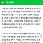 '개말라'라는 <b>단어</b>좀 쓰지마라