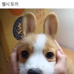 <b>버즈</b> 끼고 있었는데