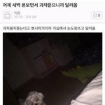 밸런스 게임 <b>하자</b>