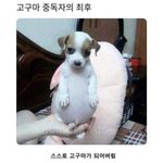 [조언부탁해] 얘들아 나 ㅈ댐 제발 진짜