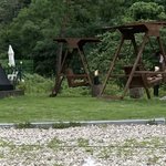 [이것좀봐줘] 애견유치원 대형사고 (두개골골절,뇌출혈)