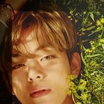 김태형 미쳤냐 진짜
