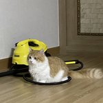 우리집 <b>스팀</b> 청소기 자랑