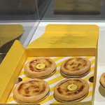 뱅그타르트 ㄹㅇ 가성비 애<b>지네</b>