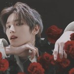 [우리태용님] <b>장미</b> 태용