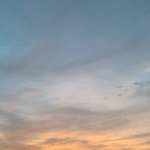 [드루와] 3학년 내신 <b>폭망</b>