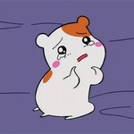 [19] 고1 <b>첫시험</b> 결과 이리 나왔는데 대학 갈 수 있냐