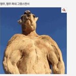 [방탄소년단] 전정국 캥거루 이거 생각난다곸ㅋㅋㅋㅋㅋㅋㅋ