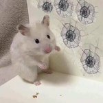 [댓글부탁해] 너네 베터리 어떻게 부름? ㅊㅂ