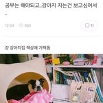 <b>짝눈</b>인 사람?