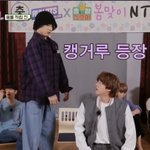 [방탄소년단] 넬보드 <b>캥거루</b> 입짱!!