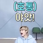[엔하이픈] 정말 하찮은 김선우 볼 사람