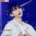 [NCT즌] <b>완전</b> 쪼꼬푸들