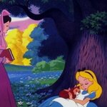 [진격의거인] ❗전력 60분, WONDERLAND!