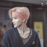 [펜타곤] 벽<b>반들</b>만 주는 선물이야