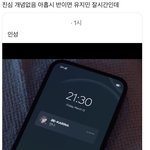 아이카뤼나 <b>인성</b>