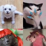 닝닝 버블 <b>유출</b>