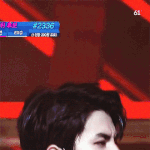 기여운 <b>세후</b>니