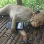 아 ㅈ같아 자꾸 수학 쌤 <b>생각남</b>