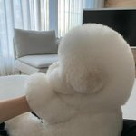 [NCT즌] 태용이 안자구 <b>모해</b>