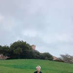 [세븐틴] 얘드라..나 사진 하나만 찾아주라...