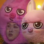 [스키즈] 근데 순둥도리랑 <b>베리</b>랑 까미 다 몇살이야????