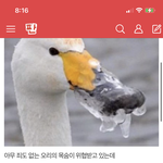<b>결사</b>친 반응도 추가해? 근데 ㅈㄴ 노잼임
