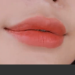 이거 비슷한 립 아는 사람