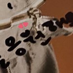 [NCT즌] 증말 뒷복인데 영통팬싸 <b>사인앨범</b> 받잖아