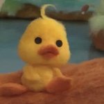 <b>INFJ</b> 질문 받음!!!