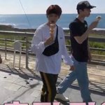 <b>기여</b>운 배쿄니