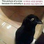 [19] 근데 <b>JB</b> 사진 궁금한 거 있는데